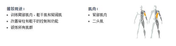 廣州妖精视频污网站健身器材