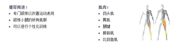 廣州妖精视频污网站健身器材