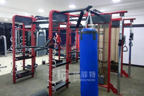 妖精视频污网站印度客戶健身房案例