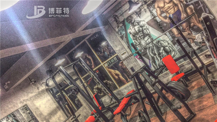 伊拉克客戶的健身房圖片 妖精视频污网站健身器材案例