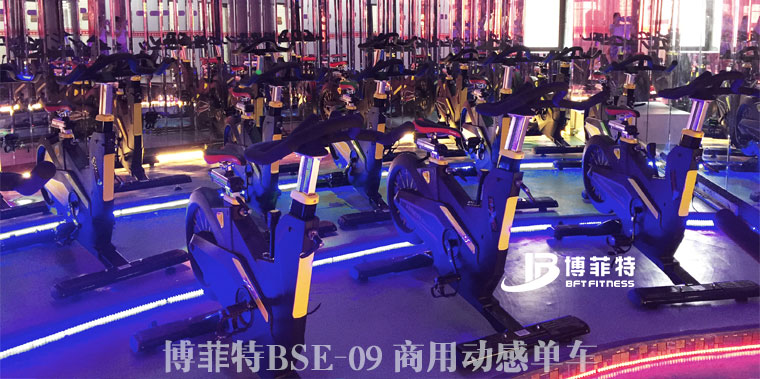妖精视频污网站bft09動感單車