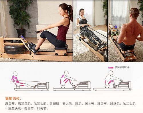 水阻劃船機動作姿勢教學