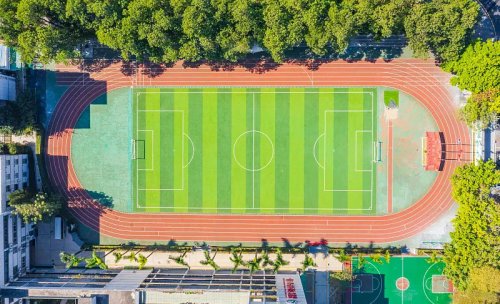 現代學校體育館建設趨勢：健身器材正成為標配核心