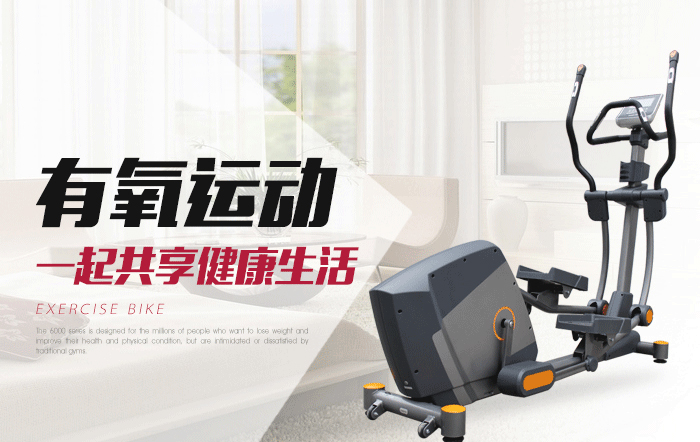 bce203健身車
